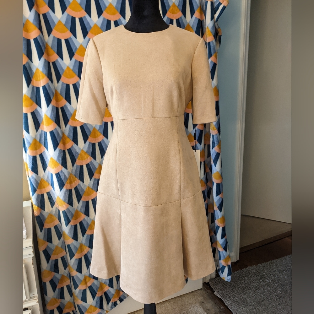 Calvin Klein dress, size 6, elegant fit and flair, with sleeves, NWT